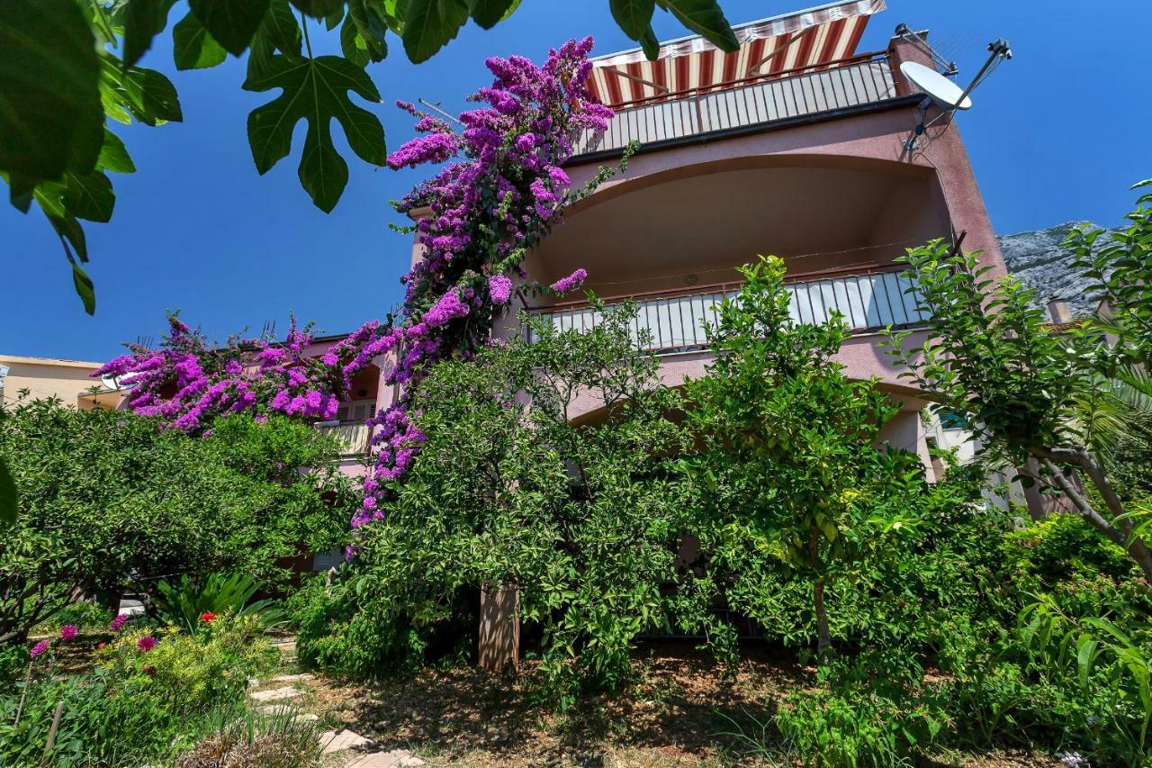 Apartment Roza Makarska